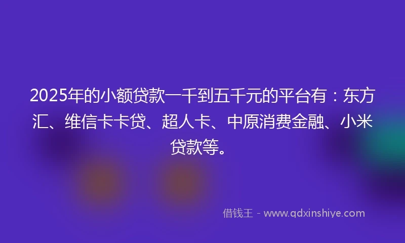 2025年的小额贷款一千到五千元的平台有：东方汇、维信卡卡贷、超人卡、中原消费金融、小米贷款等。