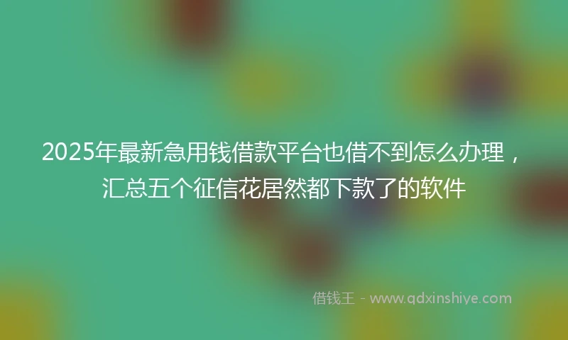 2025年最新急用钱借款平台也借不到怎么办理，汇总五个征信花居然都下款了的软件