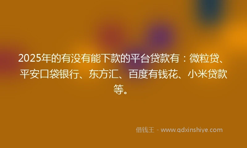2025年的有没有能下款的平台贷款有：微粒贷、平安口袋银行、东方汇、百度有钱花、小米贷款等。