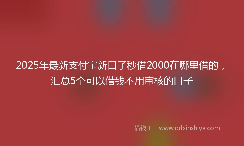 2025年最新支付宝新口子秒借2000在哪里借的，汇总5个可以借钱不用审核的口子