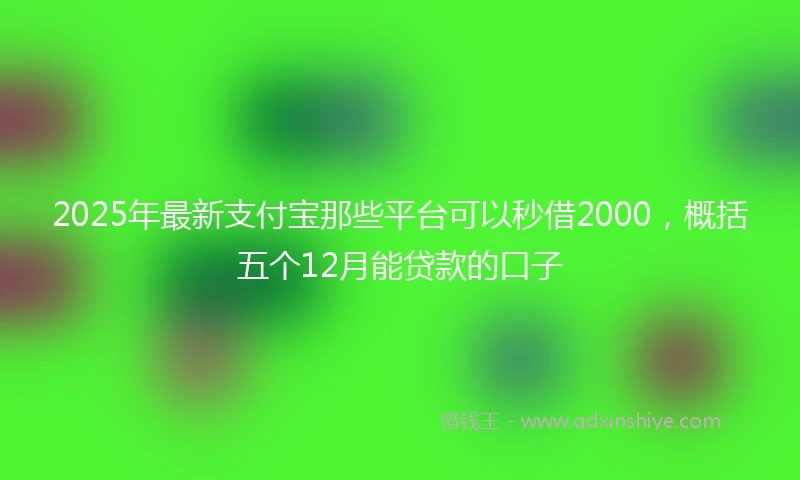 2025年最新支付宝那些平台可以秒借2000，概括五个12月能贷款的口子