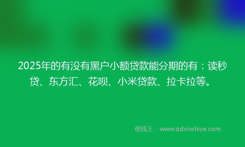 2025年的有没有黑户小额贷款能分期的有：读秒贷、东方汇、花呗、小米贷款、拉卡拉等。