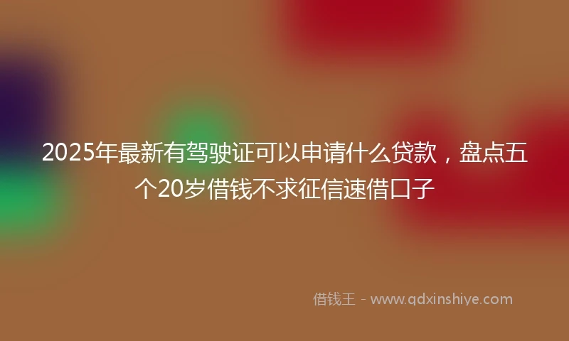 2025年最新有驾驶证可以申请什么贷款，盘点五个20岁借钱不求征信速借口子
