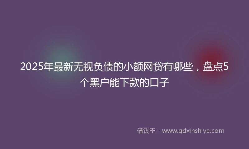 2025年最新无视负债的小额网贷有哪些，盘点5个黑户能下款的口子