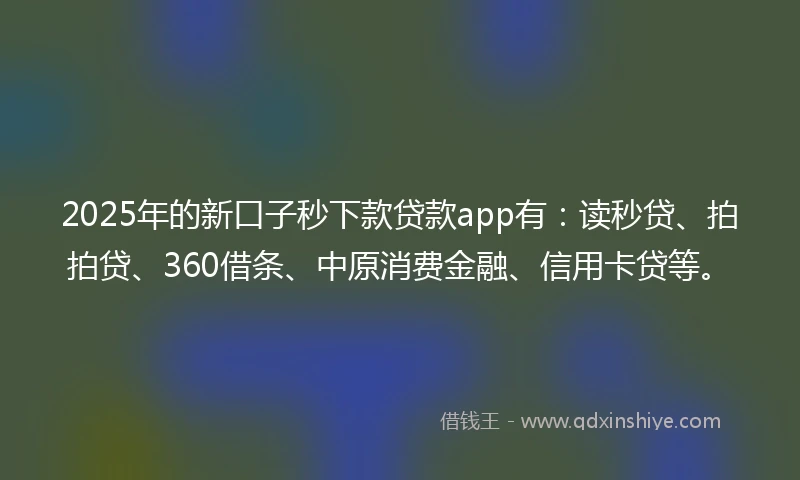 2025年的新口子秒下款贷款app有：读秒贷、拍拍贷、360借条、中原消费金融、信用卡贷等。