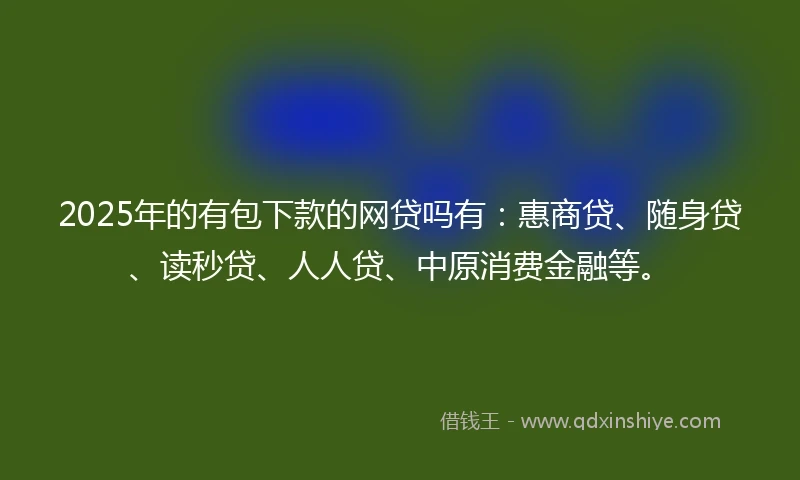 2025年的有包下款的网贷吗有：惠商贷、随身贷、读秒贷、人人贷、中原消费金融等。