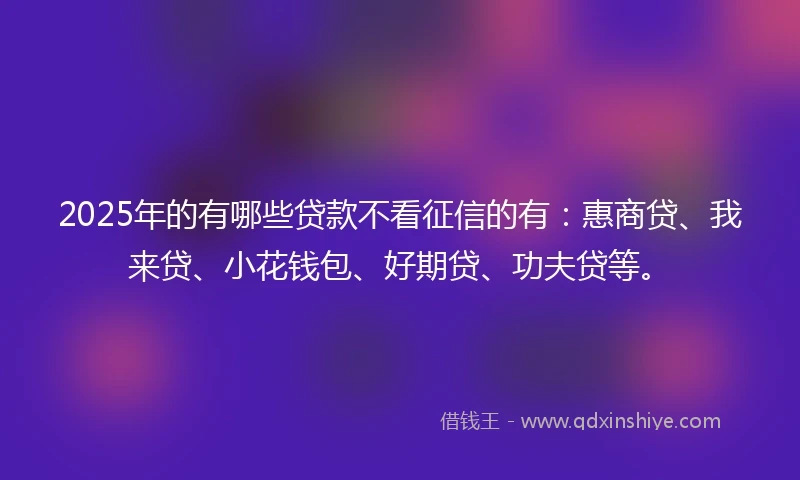 2025年的有哪些贷款不看征信的有：惠商贷、我来贷、小花钱包、好期贷、功夫贷等。