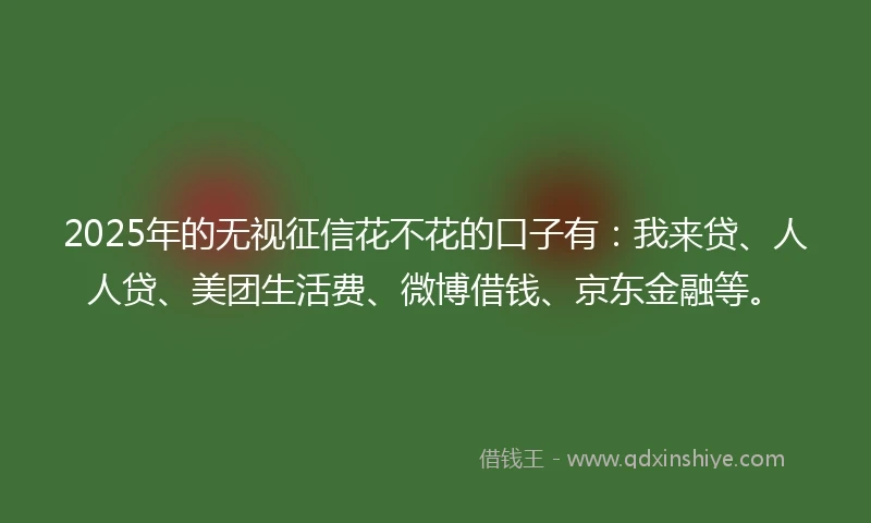 2025年的无视征信花不花的口子有：我来贷、人人贷、美团生活费、微博借钱、京东金融等。