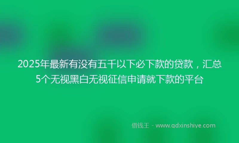 2025年最新有没有五千以下必下款的贷款，汇总5个无视黑白无视征信申请就下款的平台