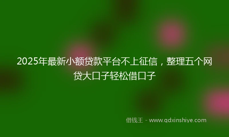 2025年最新小额贷款平台不上征信，整理五个网贷大口子轻松借口子