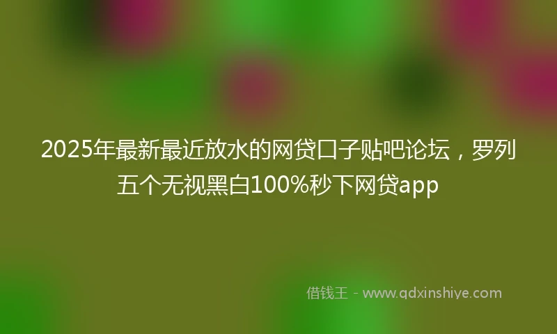 2025年最新最近放水的网贷口子贴吧论坛，罗列五个无视黑白100%秒下网贷app