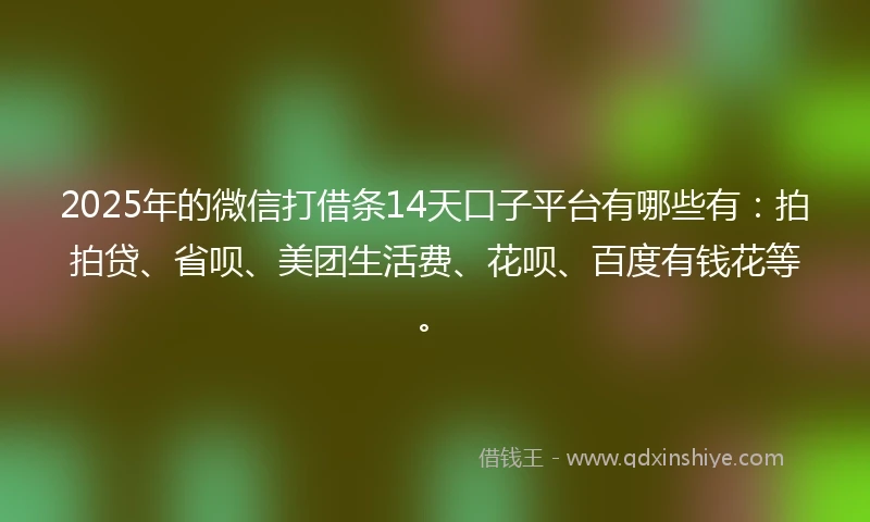 2025年的微信打借条14天口子平台有哪些有：拍拍贷、省呗、美团生活费、花呗、百度有钱花等。