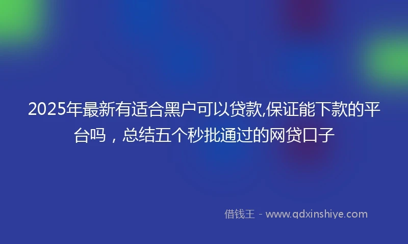 2025年最新有适合黑户可以贷款,保证能下款的平台吗，总结五个秒批通过的网贷口子