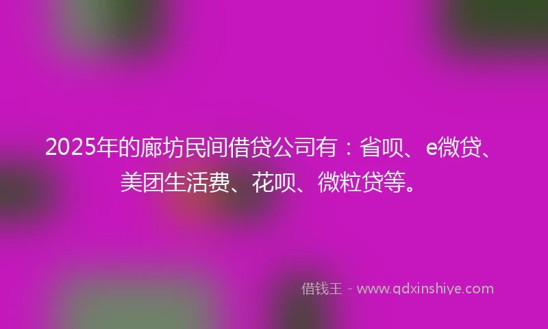 2025年的廊坊民间借贷公司有：省呗、e微贷、美团生活费、花呗、微粒贷等。