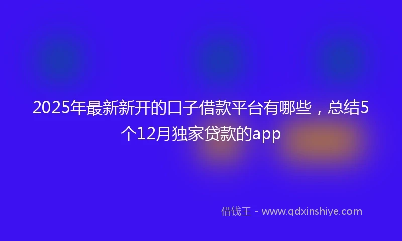 2025年最新新开的口子借款平台有哪些，总结5个12月独家贷款的app