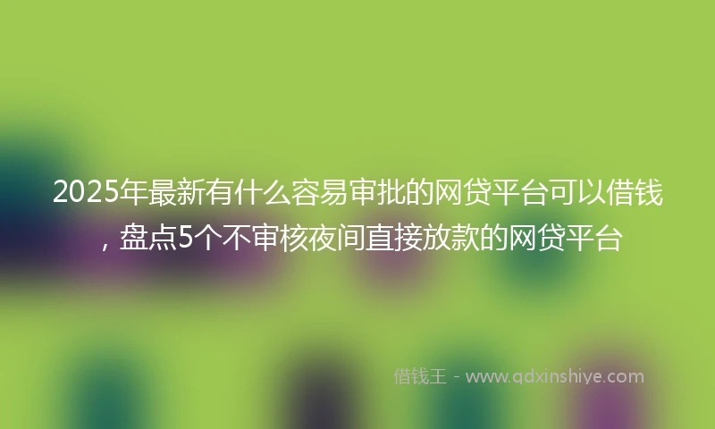 2025年最新有什么容易审批的网贷平台可以借钱，盘点5个不审核夜间直接放款的网贷平台