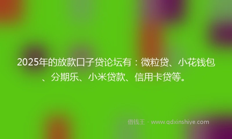 2025年的放款口子贷论坛有：微粒贷、小花钱包、分期乐、小米贷款、信用卡贷等。