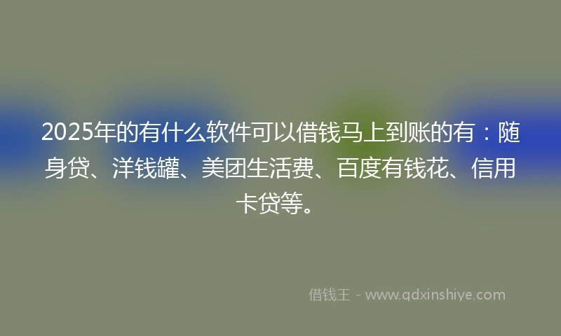2025年的有什么软件可以借钱马上到账的有：随身贷、洋钱罐、美团生活费、百度有钱花、信用卡贷等。