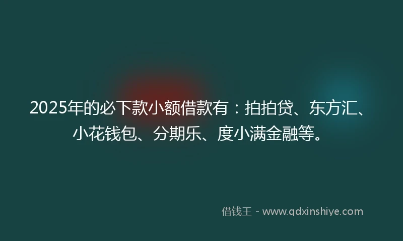 2025年的必下款小额借款有：拍拍贷、东方汇、小花钱包、分期乐、度小满金融等。