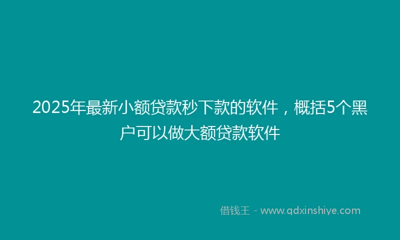2025年最新小额贷款秒下款的软件，概括5个黑户可以做大额贷款软件