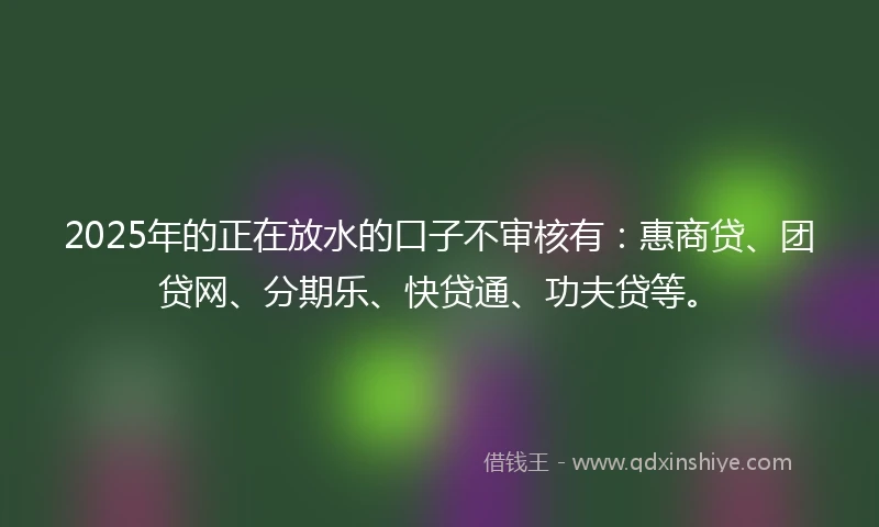 2025年的正在放水的口子不审核有：惠商贷、团贷网、分期乐、快贷通、功夫贷等。
