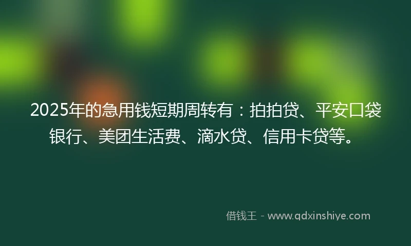 2025年的急用钱短期周转有：拍拍贷、平安口袋银行、美团生活费、滴水贷、信用卡贷等。