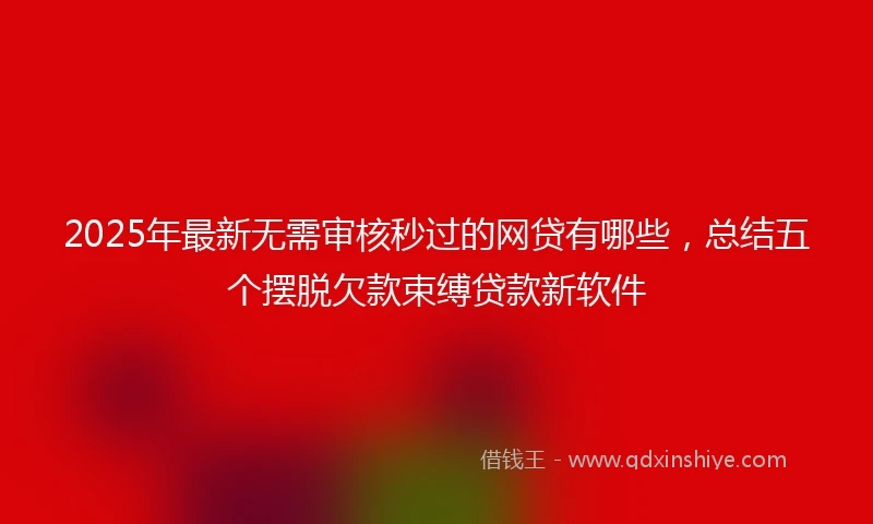 2025年最新无需审核秒过的网贷有哪些，总结五个摆脱欠款束缚贷款新软件
