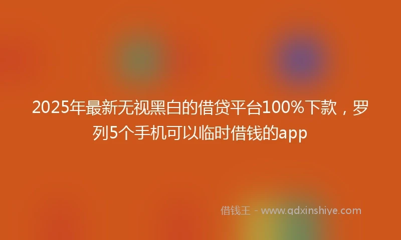 2025年最新无视黑白的借贷平台100%下款，罗列5个手机可以临时借钱的app