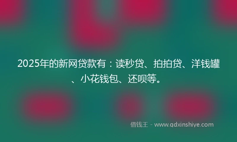 2025年的新网贷款有：读秒贷、拍拍贷、洋钱罐、小花钱包、还呗等。