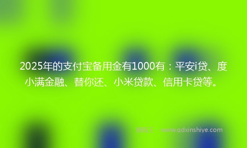2025年的支付宝备用金有1000有：平安i贷、度小满金融、替你还、小米贷款、信用卡贷等。