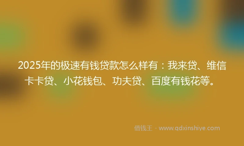 2025年的极速有钱贷款怎么样有：我来贷、维信卡卡贷、小花钱包、功夫贷、百度有钱花等。