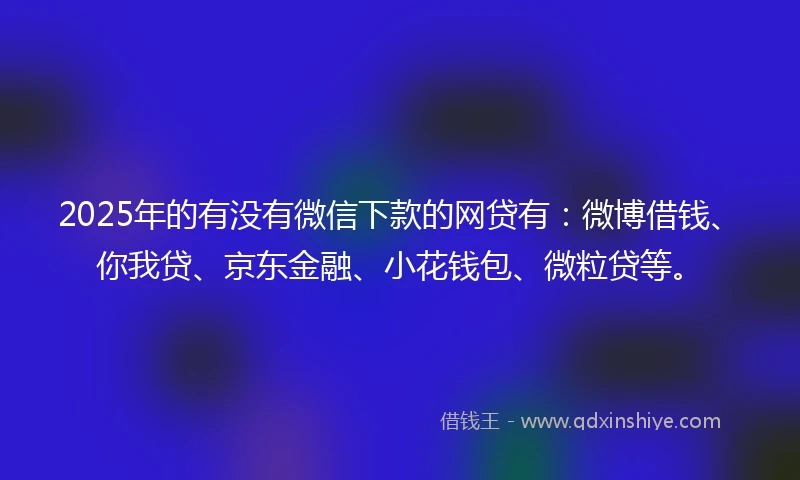 2025年的有没有微信下款的网贷有：微博借钱、你我贷、京东金融、小花钱包、微粒贷等。