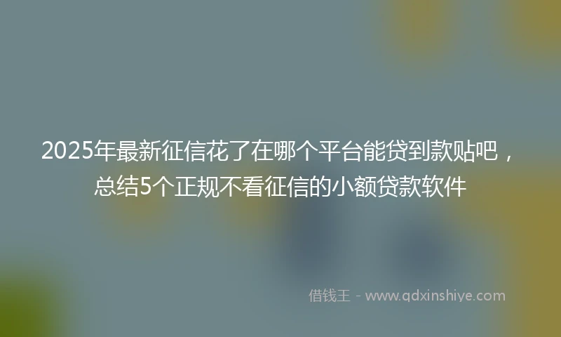 2025年最新征信花了在哪个平台能贷到款贴吧，总结5个正规不看征信的小额贷款软件