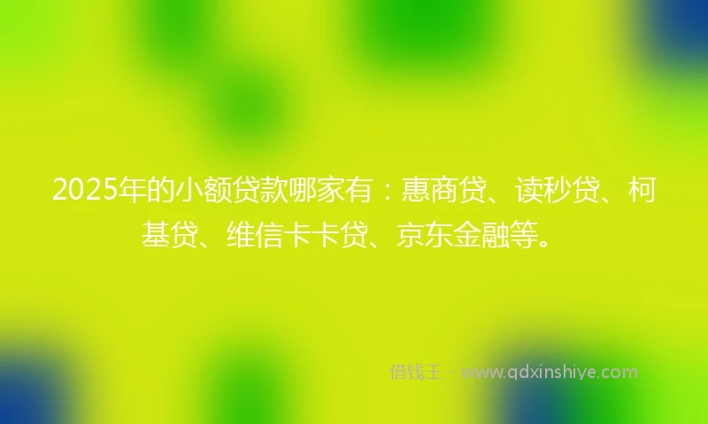 2025年的小额贷款哪家有:惠商贷、读秒贷、柯基贷、维信卡卡贷、京东金融等。