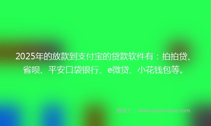 2025年的放款到支付宝的贷款软件有：拍拍贷、省呗、平安口袋银行、e微贷、小花钱包等。