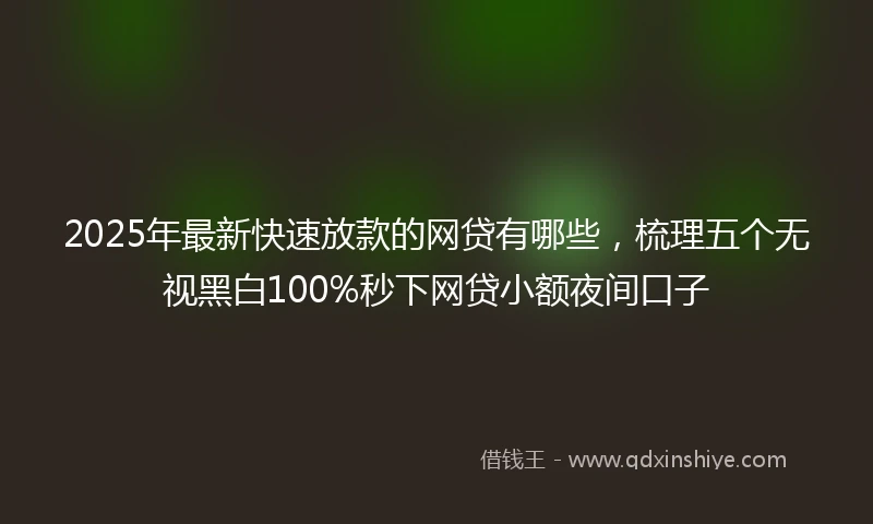 2025年最新快速放款的网贷有哪些，梳理五个无视黑白100%秒下网贷小额夜间口子