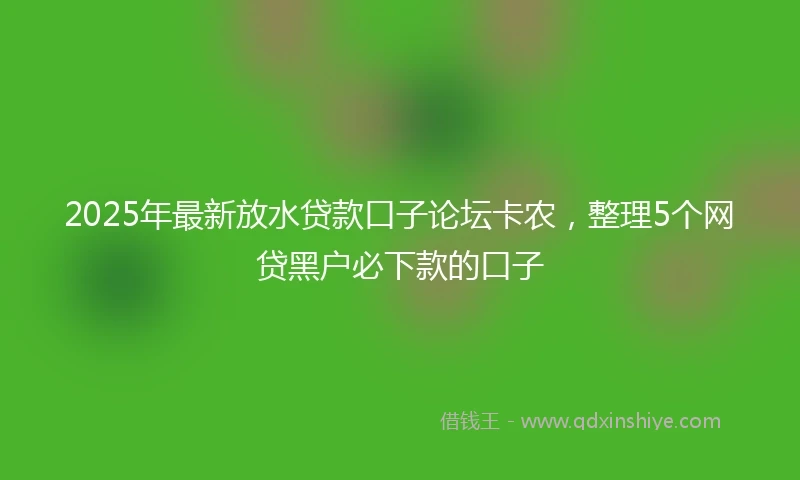 2025年最新放水贷款口子论坛卡农，整理5个网贷黑户必下款的口子