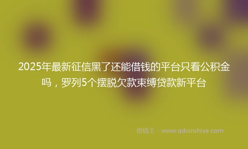 2025年最新征信黑了还能借钱的平台只看公积金吗，罗列5个摆脱欠款束缚贷款新平台