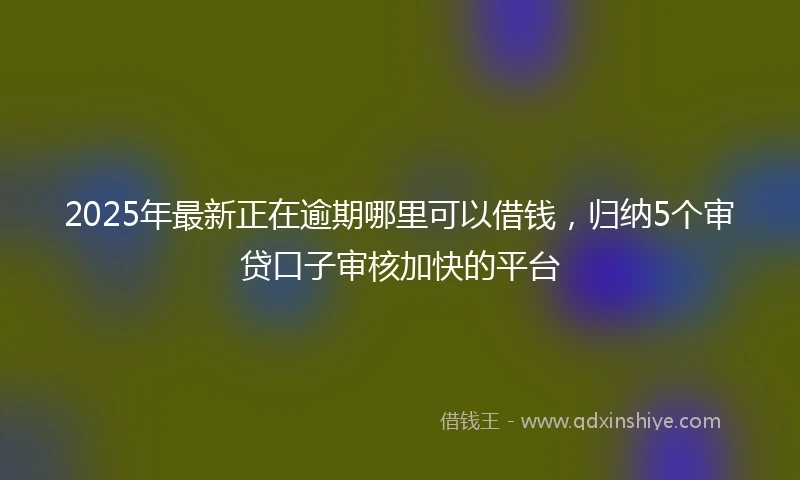 2025年最新正在逾期哪里可以借钱，归纳5个审贷口子审核加快的平台