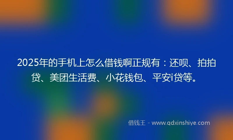 2025年的手机上怎么借钱啊正规有：还呗、拍拍贷、美团生活费、小花钱包、平安i贷等。