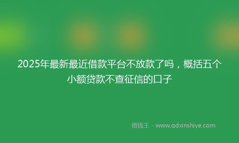 2025年最新最近借款平台不放款了吗，概括五个小额贷款不查征信的口子