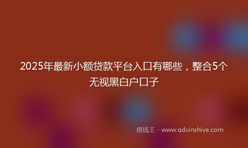 2025年最新小额贷款平台入口有哪些，整合5个无视黑白户口子