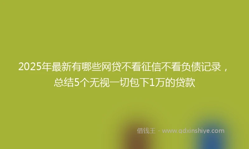2025年最新有哪些网贷不看征信不看负债记录，总结5个无视一切包下1万的贷款