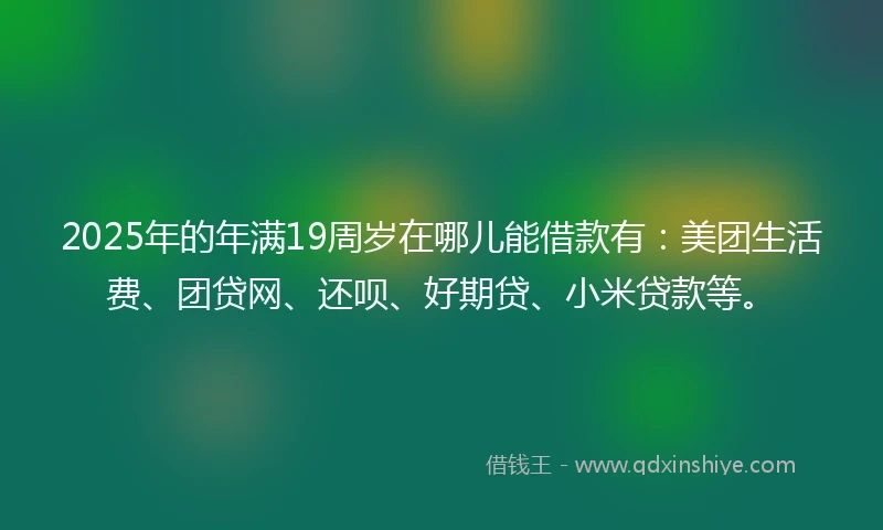 2025年的年满19周岁在哪儿能借款有:美团生活费、团贷网、还呗、好期贷、小米贷款等。