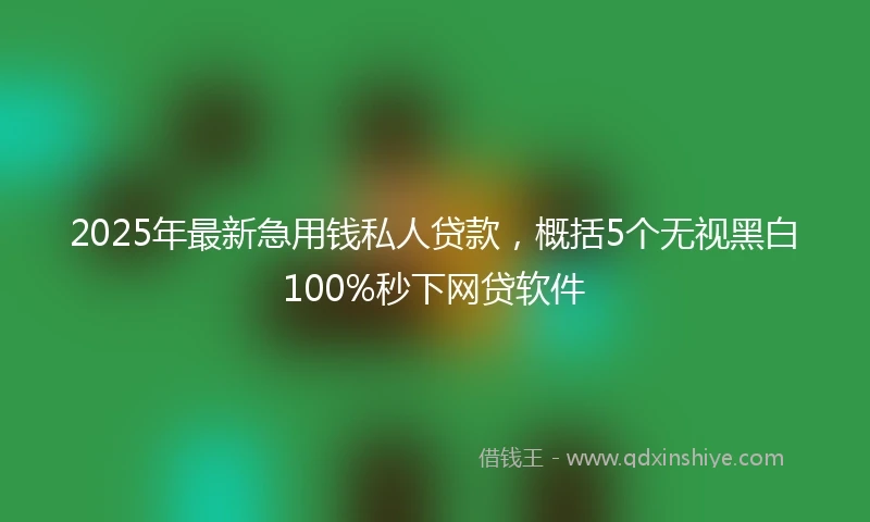 2025年最新急用钱私人贷款，概括5个无视黑白100%秒下网贷软件