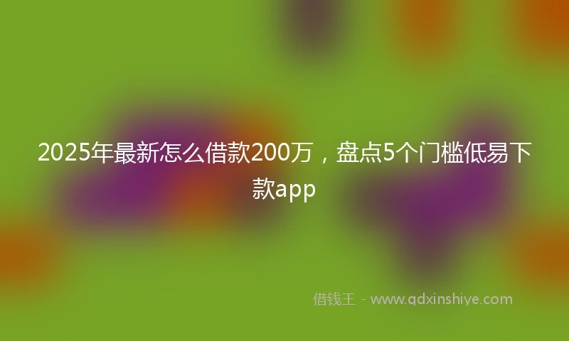 2025年最新怎么借款200万，盘点5个门槛低易下款app