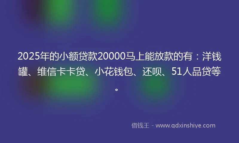 2025年的小额贷款20000马上能放款的有：洋钱罐、维信卡卡贷、小花钱包、还呗、51人品贷等。