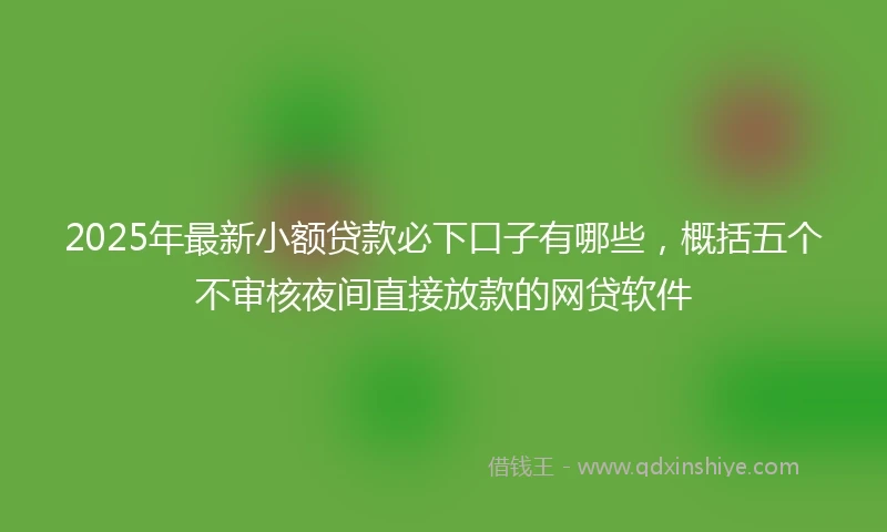 2025年最新小额贷款必下口子有哪些，概括五个不审核夜间直接放款的网贷软件