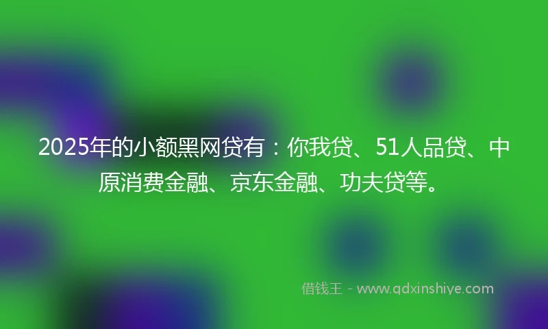 2025年的小额黑网贷有：你我贷、51人品贷、中原消费金融、京东金融、功夫贷等。