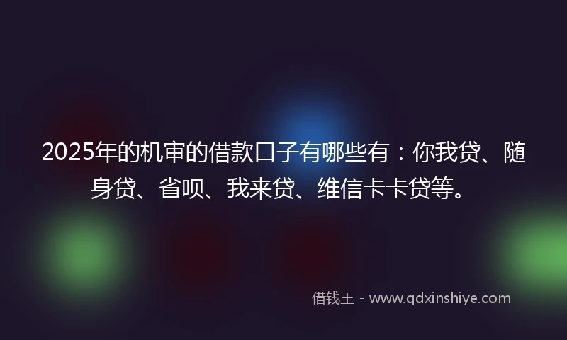 2025年的机审的借款口子有哪些有：你我贷、随身贷、省呗、我来贷、维信卡卡贷等。